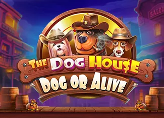 The Dog House - Dog or Alive - AUTOCUAN777