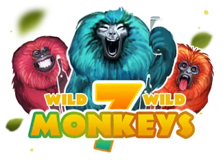 7 Monkeys - AUTOCUAN777