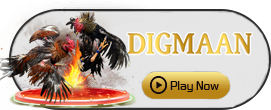Digman - AUTOCUAN777